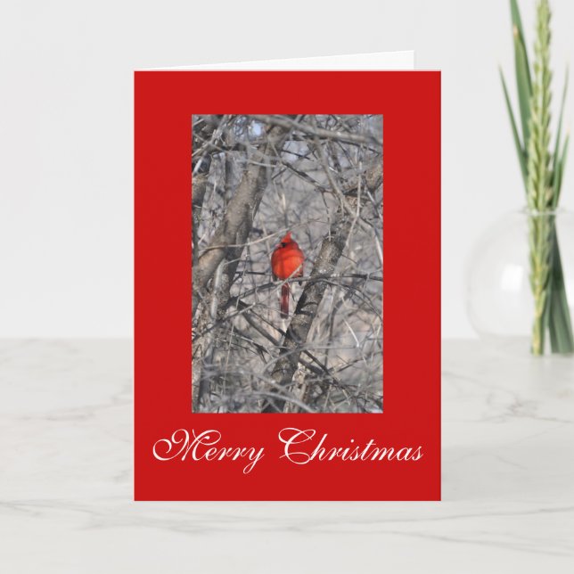 Christmas Cards by Janz Cardinal (Front)