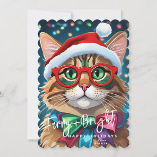 Christmas Cards, Furry and Bright Colourful Cat Holiday Card