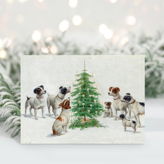Christmas | Carl Reichert Holiday Card (Creator Uploaded)