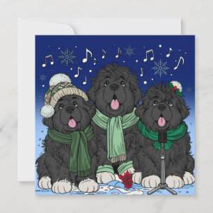 Christmas Carol singing Newfoundland puppy dogs Holiday Card