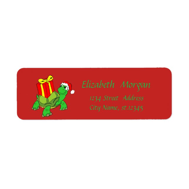 Christmas ,Cartoon Turtle,Santa Hat,Present (Front)