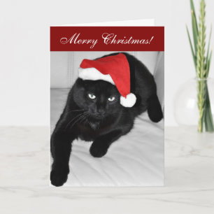 Christmas cat 4 holiday card