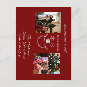 Christmas, Cat And Family Image, Postcard