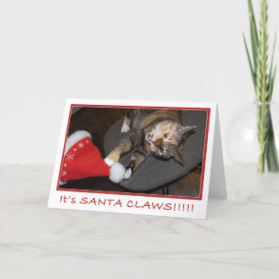 Christmas Cat Attack II Holiday Card