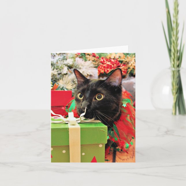 Christmas - Cat - Bentley Holiday Card (Front)