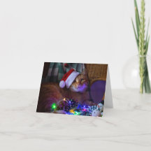 Christmas Cat Blank Greeting Card