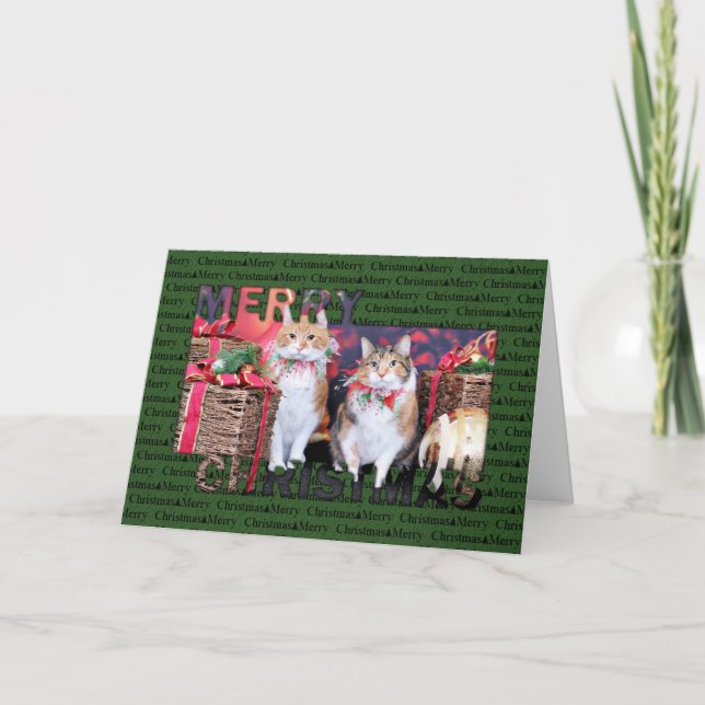 Christmas - Cat - Butter and Piggy Holiday Card (Front)