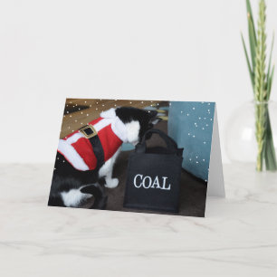 Christmas Cat Coal Holiday Card