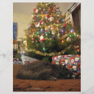 Christmas Cat Flyer