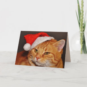 Christmas cat greeting card