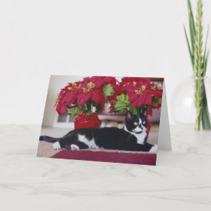 Christmas Cat Greeting Card