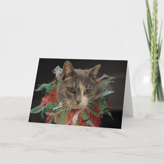 Christmas Cat Holiday Card (Front)