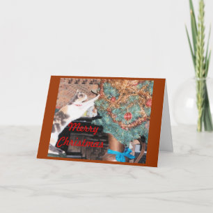 Christmas cat holiday card