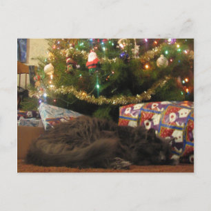 Christmas Cat Holiday Postcard