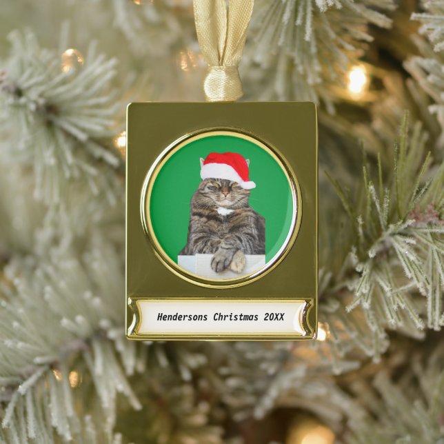 Christmas Cat Humbug Photo Banner Metal Ornament (Tree)