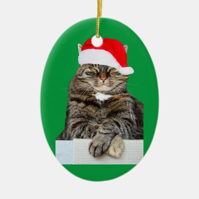 Christmas Cat Humbug Photo Oval Ornament (Front)