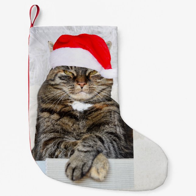 Christmas Cat Humbug Photo Small Christmas Stocking (Front)