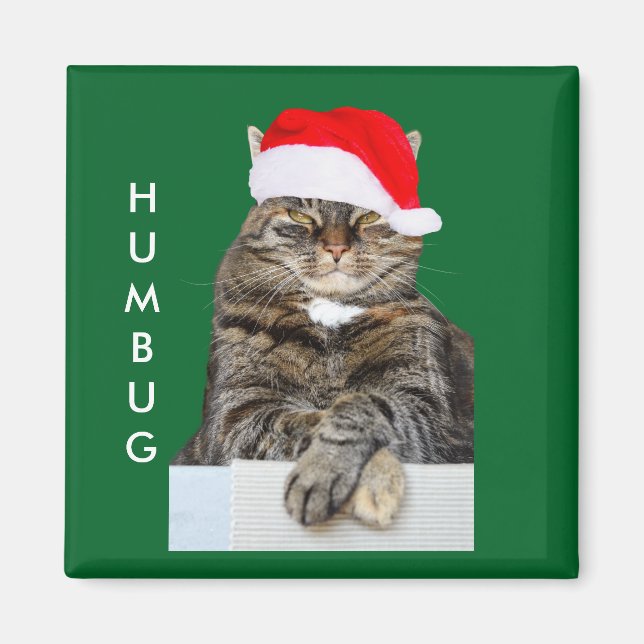 Christmas Cat Humbug Photo with Santa Hat Magnet (Front)