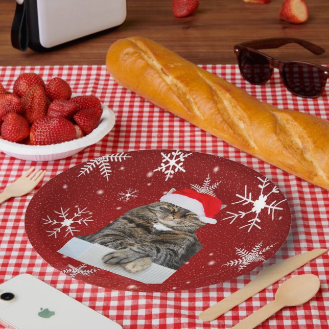 Christmas Cat Humbug Photo with Santa Hat Paper Plate (Picnic)