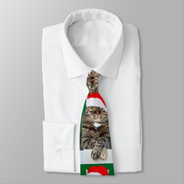 Christmas Cat Humbug Photo with Santa Hat Tie (Tied)