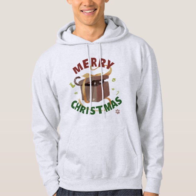 Christmas Cat In Carton Hoodie (Front)