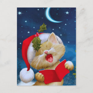 Christmas Cat in  night  Holiday Card