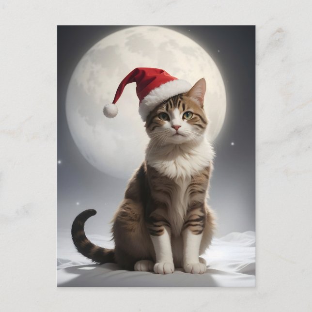 christmas cat in the night postcard (Front)
