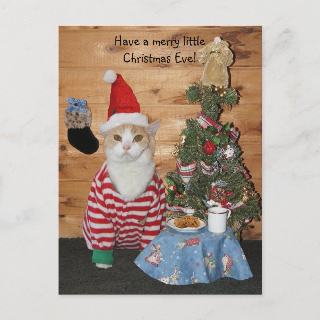 Christmas Cat/Kitty in PJs Holiday Postcard (Front)