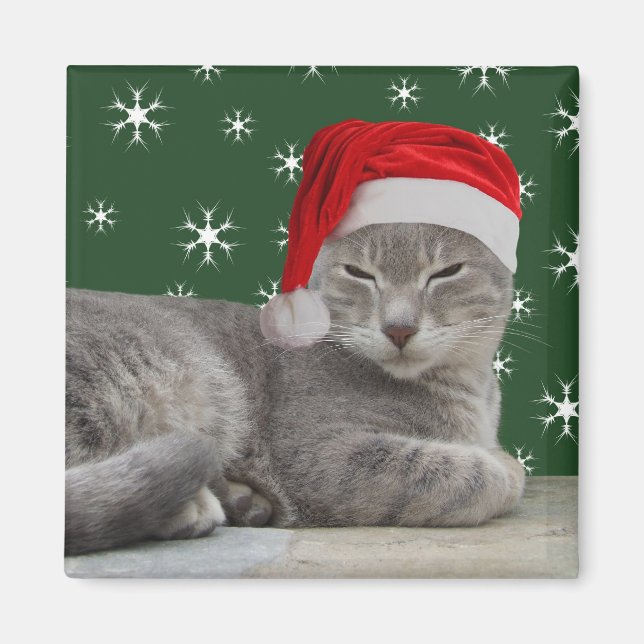 Christmas Cat Magnet (Front)
