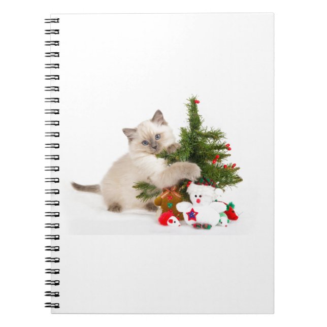 Christmas cat notebook (Front)