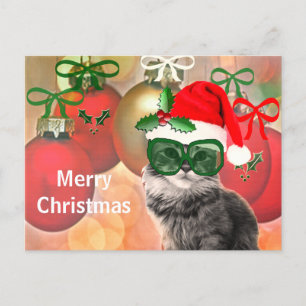 Christmas Cat on a christmas ball background Holiday Postcard