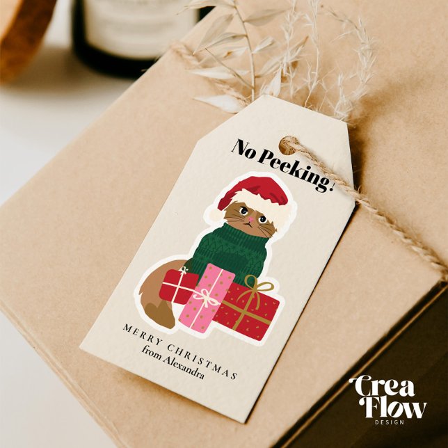Christmas Cat Personalise Gift Tag (Adorable Personalized Holiday Gift Tags featuring a Grumpy Cat in a Green Christmas Sweater )