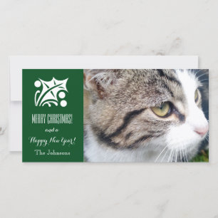 Christmas cat photo card   Add your pet image here
