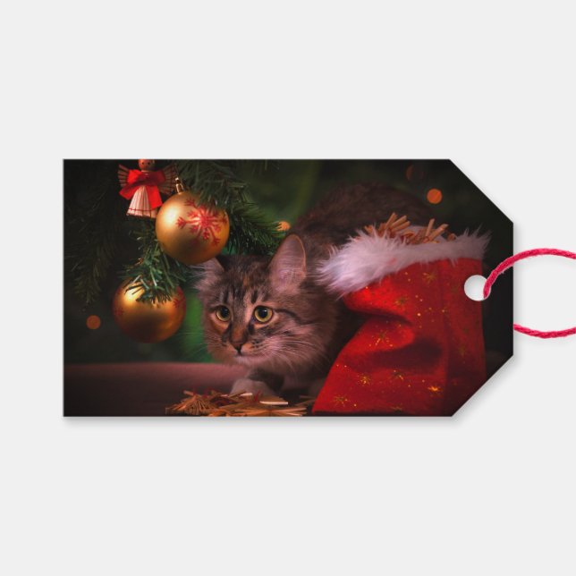 Christmas Cat Photo Gift Tags (Front (Horizontal))