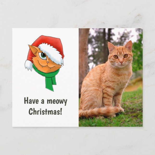 Christmas Cat Photo Holiday Postcard (Front)