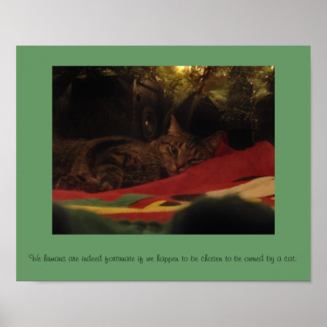 Christmas Cat Poster (Front)