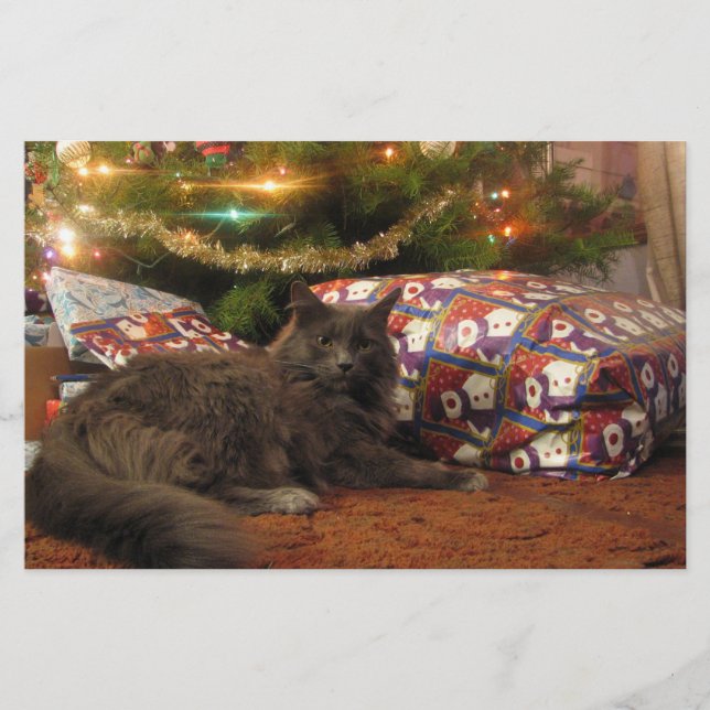 Christmas Cat Stationery (Front)
