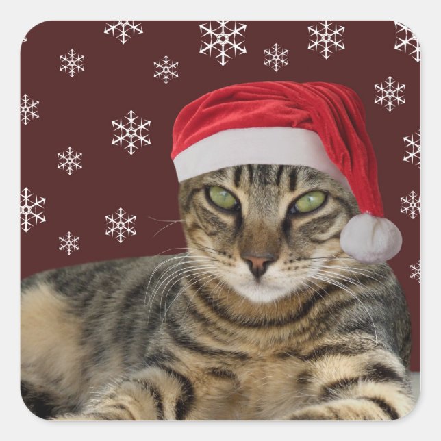 Christmas Cat Stickers (Front)