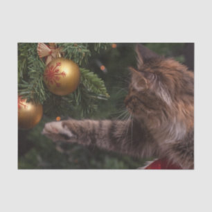 Christmas Cat Tissue Paper