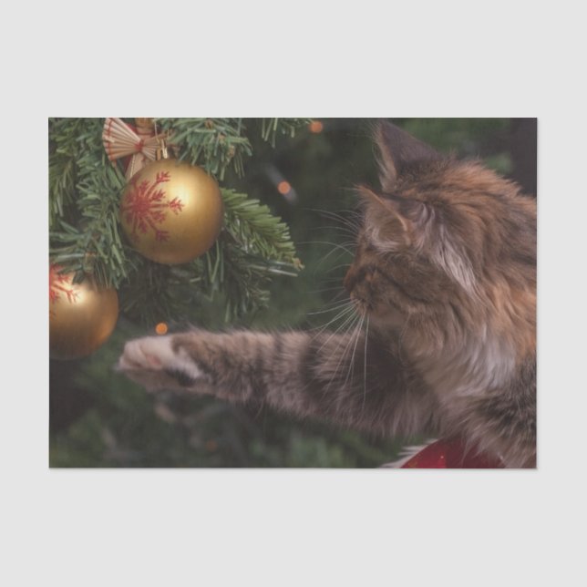Christmas Cat Tissue Paper (Front)