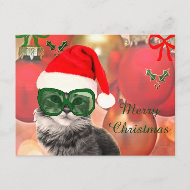 Christmas Cat wearing Santa's hat Holiday Postcard (Front)