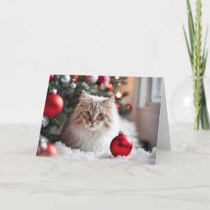 Christmas Cat With Red Ornament Holiday Card