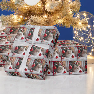 Christmas Cat With Red Ornament Wrapping Paper