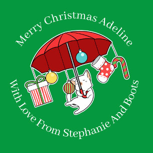 Christmas Cat With Red Umbrella On Green Wrapping Paper