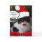 CHRISTMAS CAT WITH SANTA CLAUS HAT AND RED RIBBON