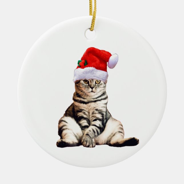 Christmas Cat With Santa Hat Ceramic Tree Decoration (Front)