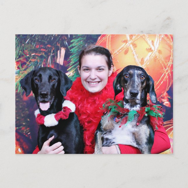 Christmas - Catahoula Brita and Labrador Cooper Holiday Postcard (Front)