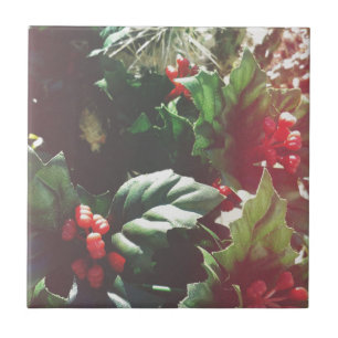 Christmas Catctus Tile