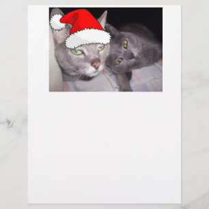 Christmas Cats