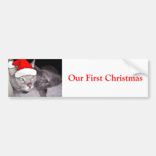 Christmas Cats Bumper Sticker